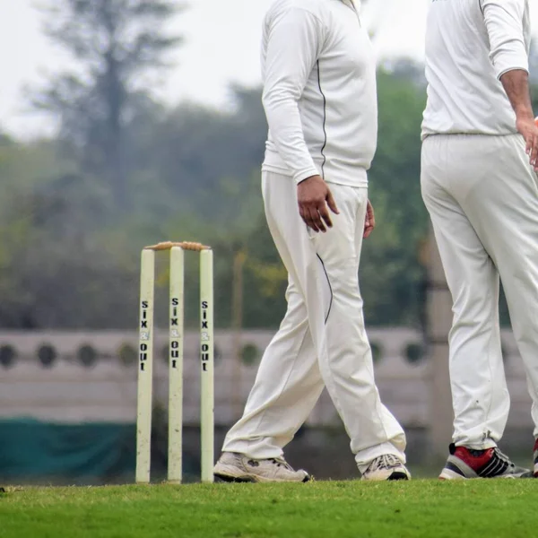 Comprimento Total Jogador Críquete Jogando Campo Durante Dia Ensolarado Cricketer — Fotografia de Stock