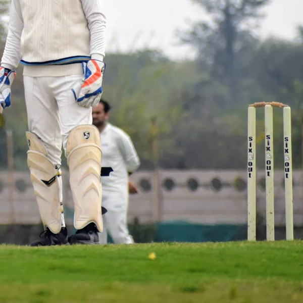 Plná Délka Kriketu Hraje Hřišti Během Slunečného Dne Cricketer Hřišti — Stock fotografie