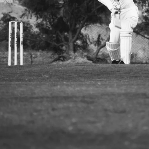 Full Length Cricketer Playing Field Sunny Day Cricketer Field Action — Stock Photo, Image