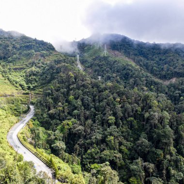 Genting Highlands, Malezya 'nın başkenti Kuala Lumpur' da popüler bir turistik merkezdir. Teleferikten Genting Highlands 'ın ariel görüntüsü. Genting Highlands, Malezya 'nın bulutlu, karamsar yeşil görüntüsü