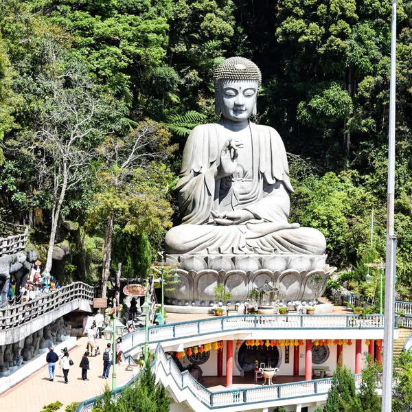 Кам Яна Будда Англ Stone Buddha Розташована Храмі Печер Чин — стокове фото