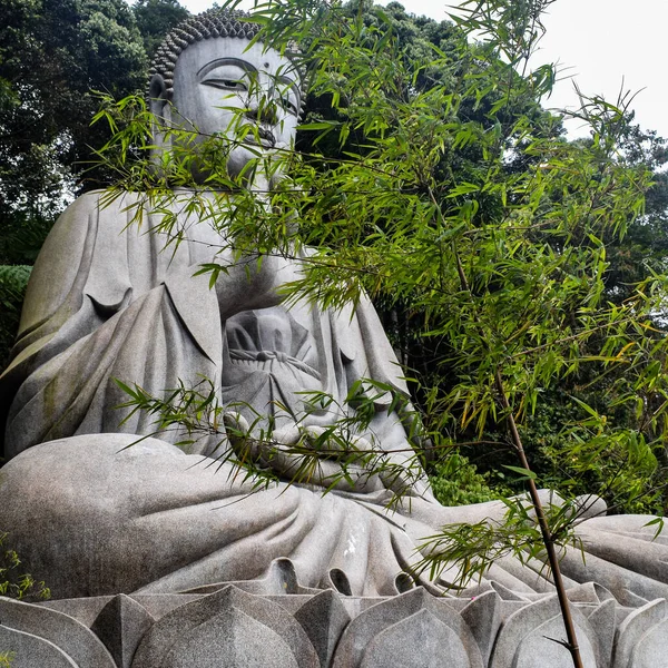 Кам Яна Будда Англ Stone Buddha Розташована Храмі Печер Чин — стокове фото