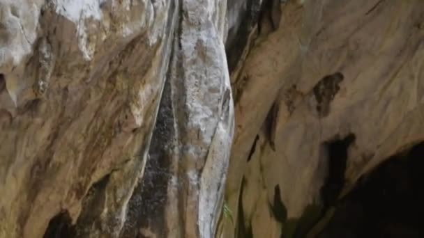 Piękna Naturalna Jaskinia Wapienna Malezji Wejście Ciemnej Jaskini Ogromnej Pustej — Wideo stockowe