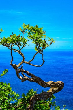 Güzel Klingon Sahili ve Endonezya 'nın Bali adası yakınlarındaki Nusa Penida adasındaki kayalar, Nusa Penida adasındaki Klingking plajının manzara fotoğrafı, Bali Endonezya