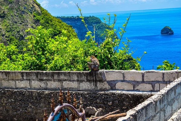 Mooie Klingking Strand Rotsen Het Eiland Nusa Penida Buurt Van — Stockfoto