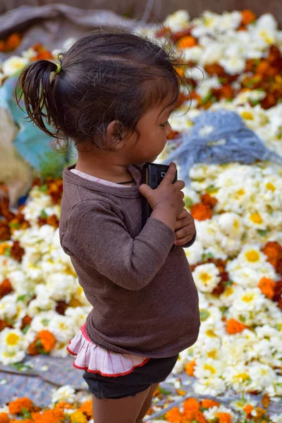 New Delhi India November 2019 Ghazipur Phool Mandi Blomstermarknaden Situationen — Stockfoto