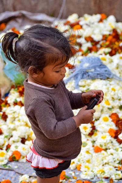 New Delhi Indien November 2019 Ghazipur Phool Mandi Blomst Markedssituation - Stock-foto