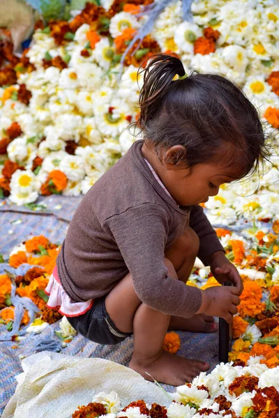 New Delhi Intia Marraskuu 2019 Ghazipur Fool Mandi Kukka Markkinatilanne — kuvapankkivalokuva