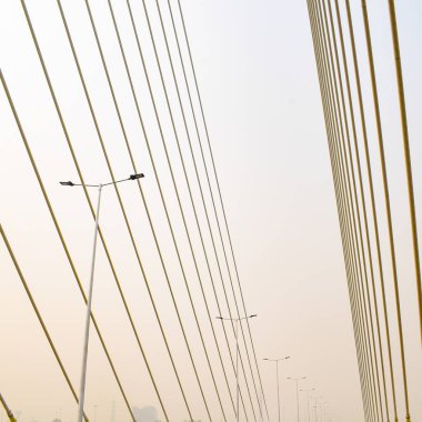 Yeni Delhi 'de Yamuna nehri boyunca inşa edilen imzalı köprünün görüntüsü.