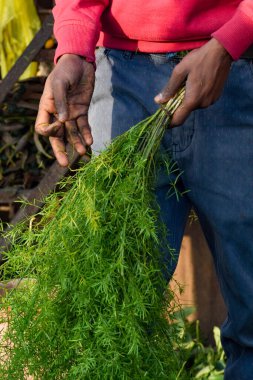 Ghazipur Phool Mandi çiçek pazarı sabahları Çin, Vietnam, Tayland ve Hindistan 'dan gelir.