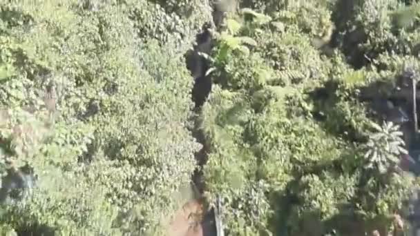 Sky View Chin Swee Caves Temple Skyway Cable Car Genting — Vídeo de Stock