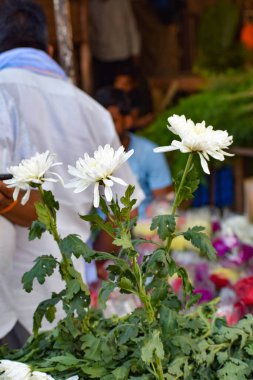 Ghazipur Phool Mandi çiçek pazarı sabahları Çin, Vietnam, Tayland ve Hindistan 'dan gelir.