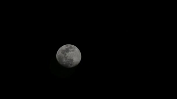 Luna Timelapse Stock Time Lapse Full Moon Rise Dark Nature — Vídeos de Stock