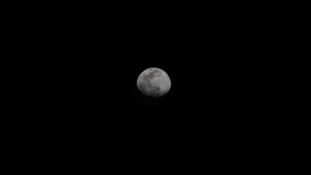 Moon Timelapse Stock Time Lapse Telihold Emelkedik Sötét Természet Éjszakai — Stock videók