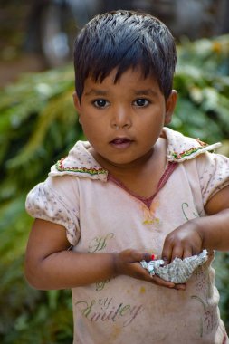 Yeni Delhi, Hindistan, 28 Kasım 2019: Ghazipur çiçek pazarı sabah, çiçeğin kendisi Çin, Vietnam, Tayland ve Hindistan 'dan geldi