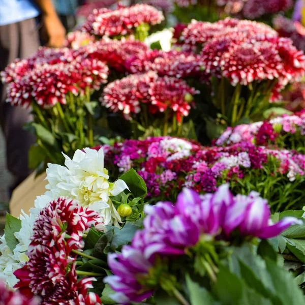 Ghazipur flower market situation in the morning, the flower itself came from China, Vietnam, Thailand and India, Flower market in Delhi