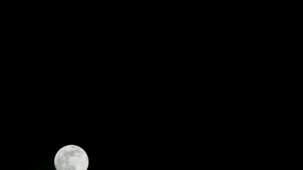 Moon Timelapse Stock Time Lapse Luna Piena Sorgere Nel Cielo — Video Stock