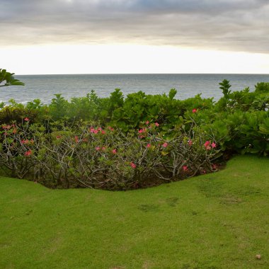 Akşamları Tanha Lot, Bali Endonezya, Güzel Tanha Sahil Manzarası Bali