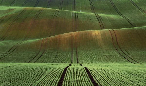 Schöne Grüne Frühlingslandschaft Der Mährischen Toskana Tschechien — Stockfoto