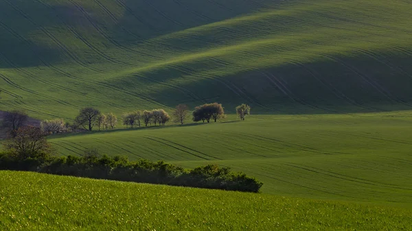 Toscana Morávia Paisagem Ondulante Primavera Torno Kyjov Uma Série Cadeias — Fotografia de Stock