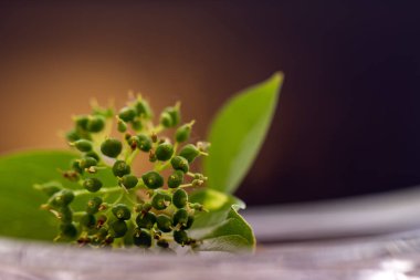 Cam kasede beyaz gerbera çiçeği ve güzel mor bokeh