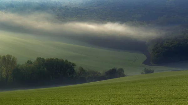 Paisagem Ondulada Toscana Morávia Com Nevoeiro Matinal Raios Sol — Fotografia de Stock