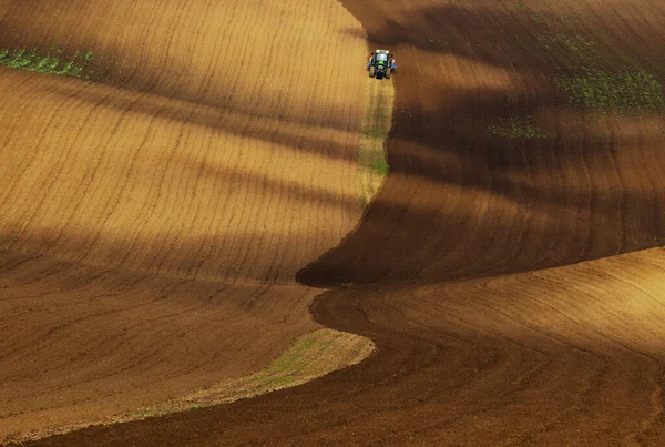 Moravian Tuscany Ένα Τρακτέρ Ιππασία Στα Κύματα Του Τοπίου Γύρω — Φωτογραφία Αρχείου