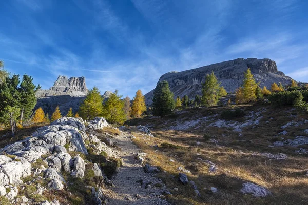 Italian Dolomites Lake Limides Autumn Water Lake Larches Distance Peaks — Stock Photo, Image