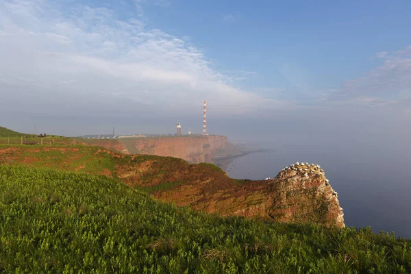 Helgoland, landscape with lighthouse at sunrise shrouded in morning mist by steep mountainside and sea