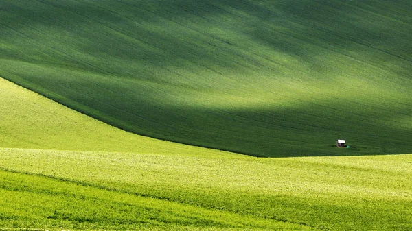 モラヴィア トスカーナ 転がり 黄色の草原とライ麦の緑 左下には木のフィーダーが立っています — ストック写真