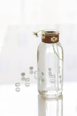 Cam bir vazoya yerleştirilmiş üç papatya çiçeği. Doğal sicimle bağlanmış. Vazo suyla dolu ve beyaz bir masanın üzerinde duruyor. Altta küçük saydam toplar var..