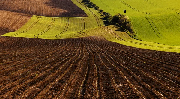 Moravisch Toscane Vlakbij Kyjov Prachtige Glooiende Landschap Van Groene Velden — Stockfoto