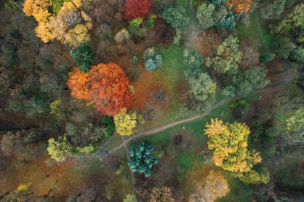 Foto aérea del parque de otoño Imagen de stock