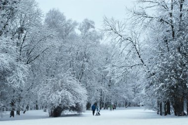 Kış parkı karla kaplı