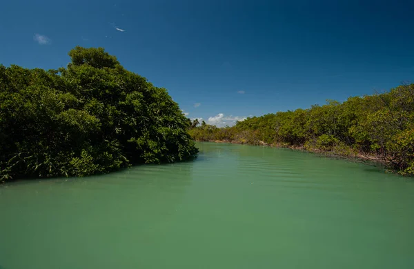 Jequia River Jequia Praia Alagoas Brazil December 2005 Touristic Region — Stock Photo, Image