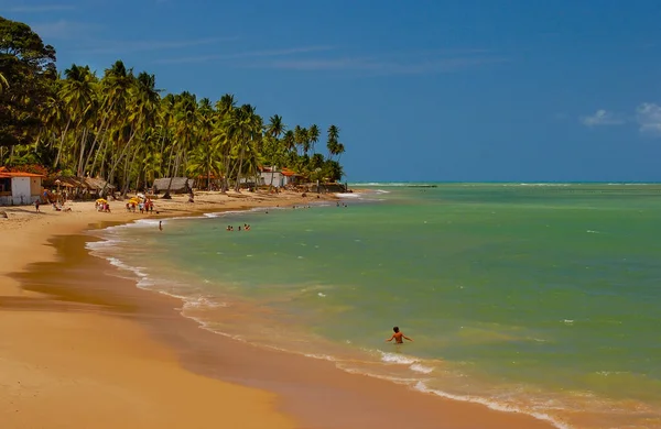 Mer Eaux Calmes Verts Bleutés Sur Plage Maragogi Alagoas Brésil — Photo