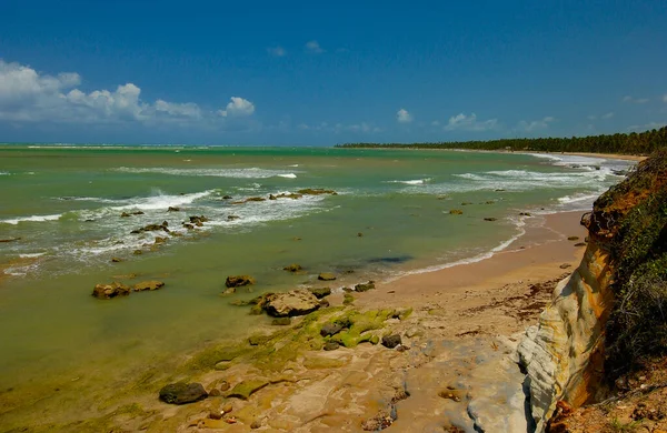 Море Спокойных Вод Голубоватой Зелени Пляже Марагоги Алагоас Бразилия Сентября — стоковое фото