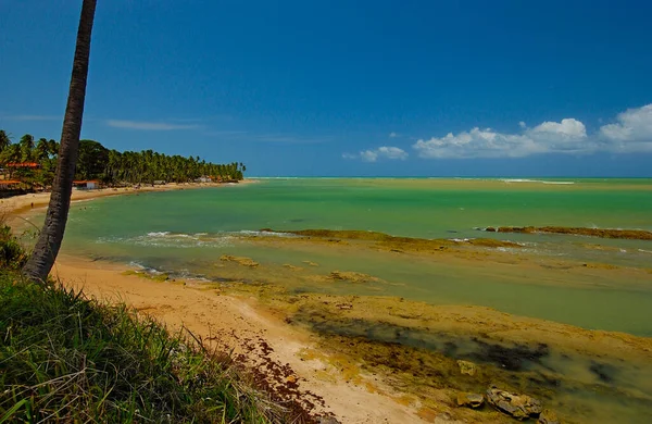 Meer Aus Ruhigem Wasser Und Bläulichem Grün Strand Von Maragogi — Stockfoto
