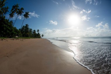 Sabahın erken saatlerinde Japonya, Maragogi, Alagoas, Brezilya 'nın huzurlu ve güzel plajında, 6 Nisan 2019