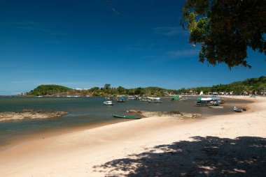 23 Şubat 2008 'de Itacare, Bahia, Brezilya' daki Conchas plajı