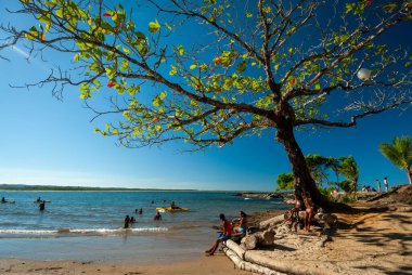 23 Şubat 2008 'de Itacare, Bahia, Brezilya' da güneşli bir öğleden sonra deniz kabuğu sahilinde turistler