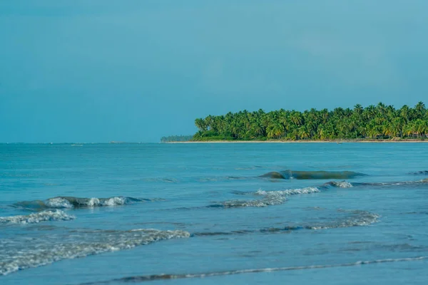 Кокосові Дерева Спокійному Прекрасному Пляжі Япаратінга Марагогі Алагоас Бразилія Квітня — стокове фото