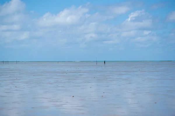 Χαμηλή Παλίρροια Στην Παραλία Japaratinga Maragogi Alagoas Brazil Στις Απριλίου — Φωτογραφία Αρχείου