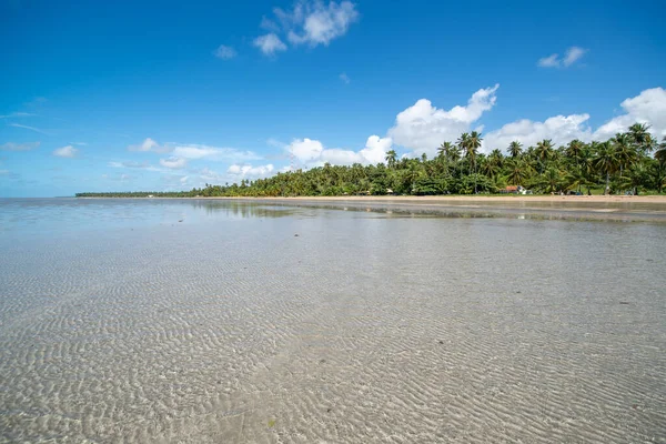 Низький Приплив Пляжі Япаратінга Марагогі Алагоас Бразилія Квітня 2019 Року — стокове фото