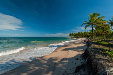 Taipu de Fora Plajı 'nda güneşli bir gün, Penisula de Marau, BA, Brezilya 22 Şubat 2008
