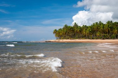 Taipu de Fora Plajı 'nda güneşli bir gün, Penisula de Marau, BA, Brezilya 22 Şubat 2008