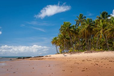 Taipu de Fora Plajı 'nda güneşli bir gün, Penisula de Marau, BA, Brezilya 22 Şubat 2008