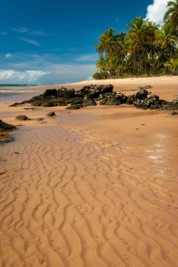 Taipu de Fora Plajı 'nda güneşli bir gün, Penisula de Marau, BA, Brezilya 22 Şubat 2008