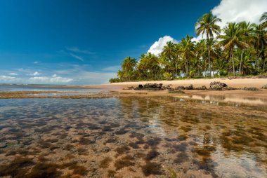 Taipu de Fora Plajı 'nda güneşli bir gün, Penisula de Marau, BA, Brezilya 22 Şubat 2008