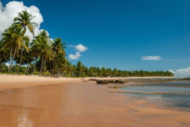 Taipu de Fora Plajı 'nda güneşli bir gün, Penisula de Marau, BA, Brezilya 22 Şubat 2008